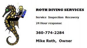 rds-saved-for-web