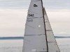 mg_3885