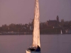mg_3966