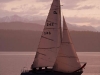 mg_3977