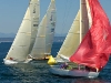 Michael Berman Photography, Port Ludlow, WA 360.732.0693