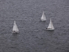 mg_3171
