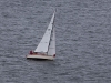 mg_3234