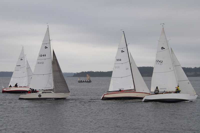 BEAR or TOWNSEND looking like they are trying to enter the Thunderbird start on Race 2 of the PTSA Cats Paw series. Photo Wendy Feltham