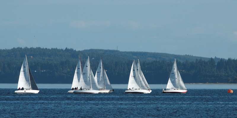 Tight racing in the T-Bird class. Photo by Wendy Feltham