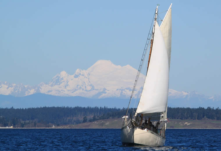 Mt. Baker watching the fun on Port Townsend Bay as the 2015 Shipwrights' Regatta took place under sunny skies and a good breeze. Photo by Helen Leenhouts.